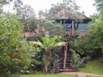 YACUTINGA LODGE