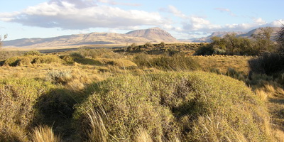El Galpon
