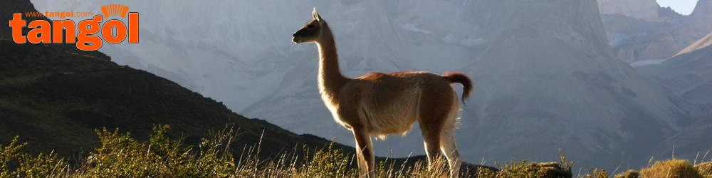Torres del Paine