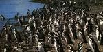 TOMBO FD + PLAYA UNION + GAIMAN [ENG]