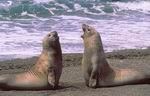PUERTO MADRYN BACKPACKER