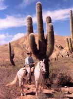 The Inca Trails on horseback (7 Days)
