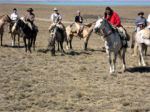 LONG HORSE RIDING