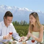 EXPERIENCIA DE VINOS HALF DAY