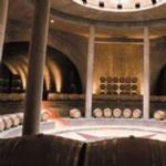 EXPERIENCIA DE VINOS FULL DAY