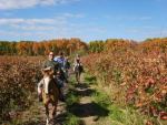 CABALGATA Y BODEGAS