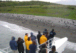 MARITIMAS ISLA LOBOS Y PINGUINER [ENG]