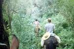 CABALGATA POR LA SELVA (2 HORAS)