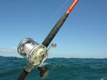 Pesca Embarcado