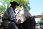 TOUR A LA FERIA DE MATADEROS