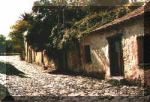 Colonia