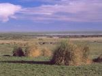 PUERTO MADRYN ESENCIAL