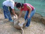 ZOO TOUR LUJAN