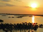 EXPLORING THE LITORAL OF ARGENTINA AND RIO DE JANEIRO (BRAZIL)