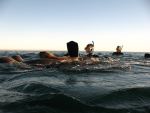 PASEO NAUTICO + SNORKELING