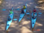 Kayak tour in the delta