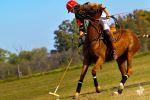DIA DE POLO ARGENTINA