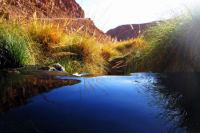 PURITAMA HOT SPRING