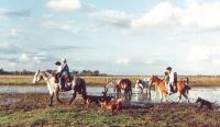 DIA DE CAMPO EN ESTANCIA EL OMBU