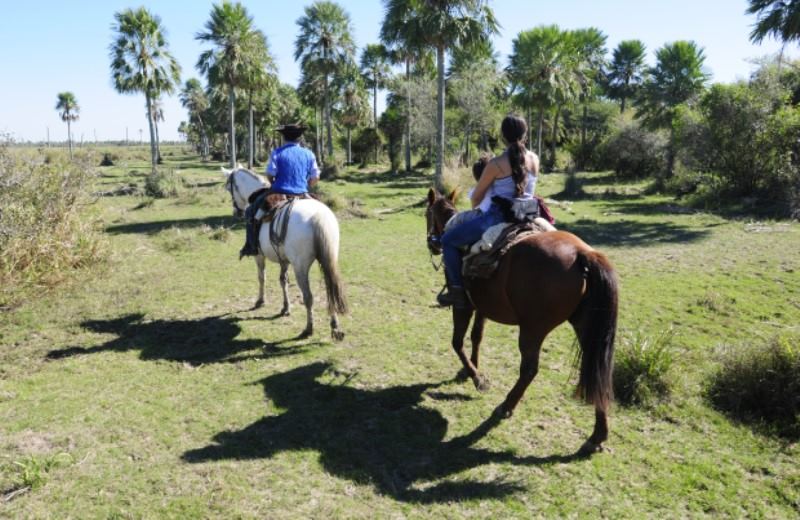 Descubriendo El Norte De Argentina - Paquetes Turisticos Circuito