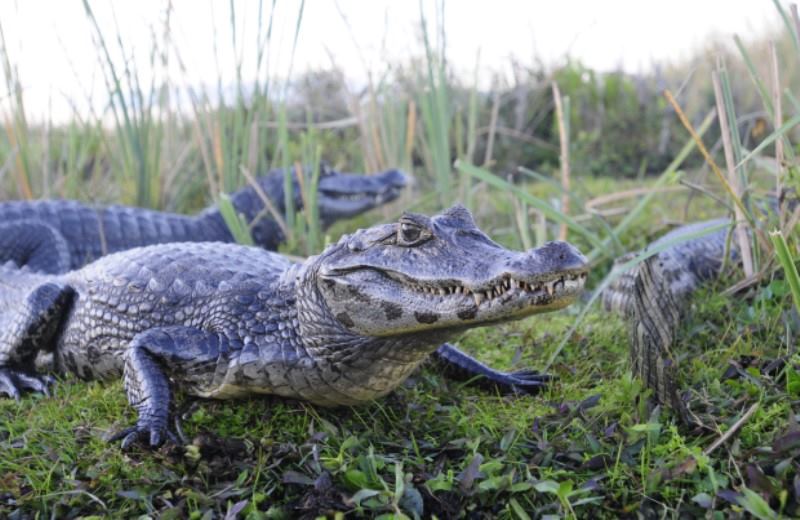 Descubriendo El Norte De Argentina - Paquetes Turisticos Circuito
