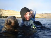 BUCEO  CON LOBOS MARINOS 