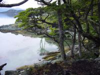 PARQUE NACIONAL TIERRA DEL FUEGO