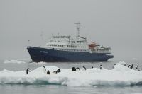 CRUCERO CIRCULO POLAR - PENINSULA ANTARTICA