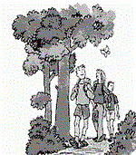 PARQUES PATRIMONIO DE LA HUMANID