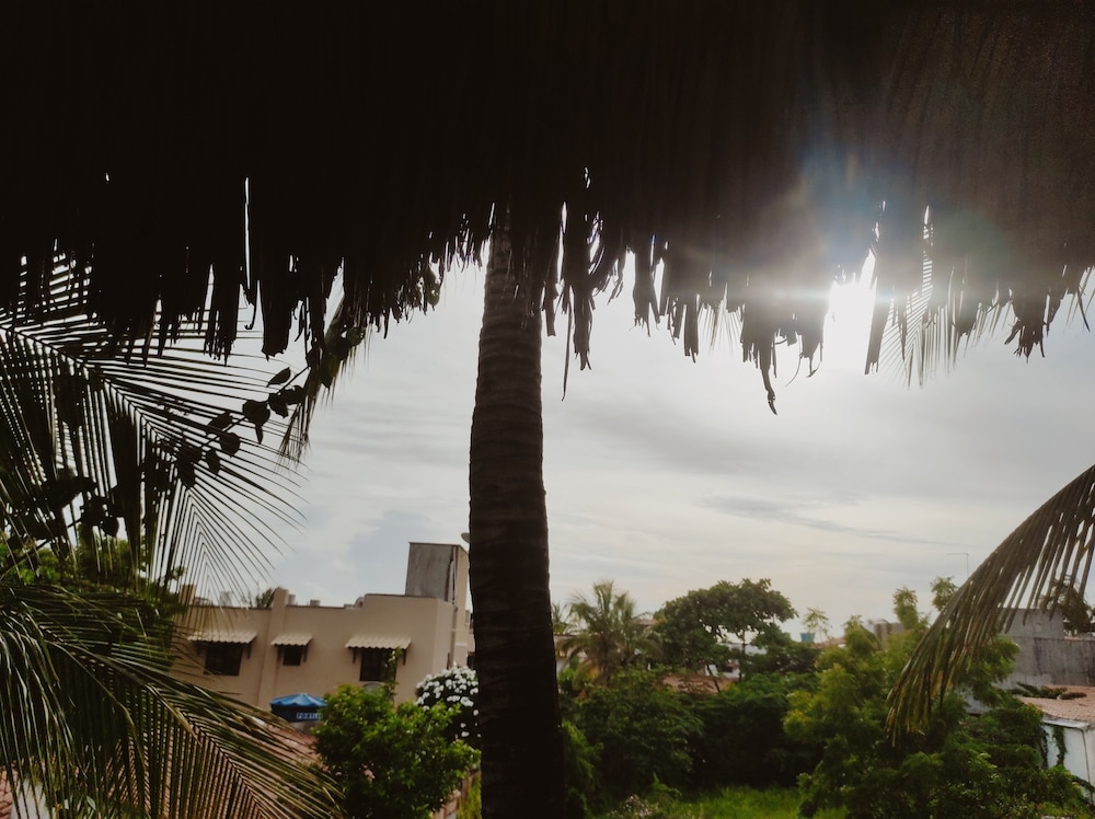 Pousada Tropical Brasil (11)