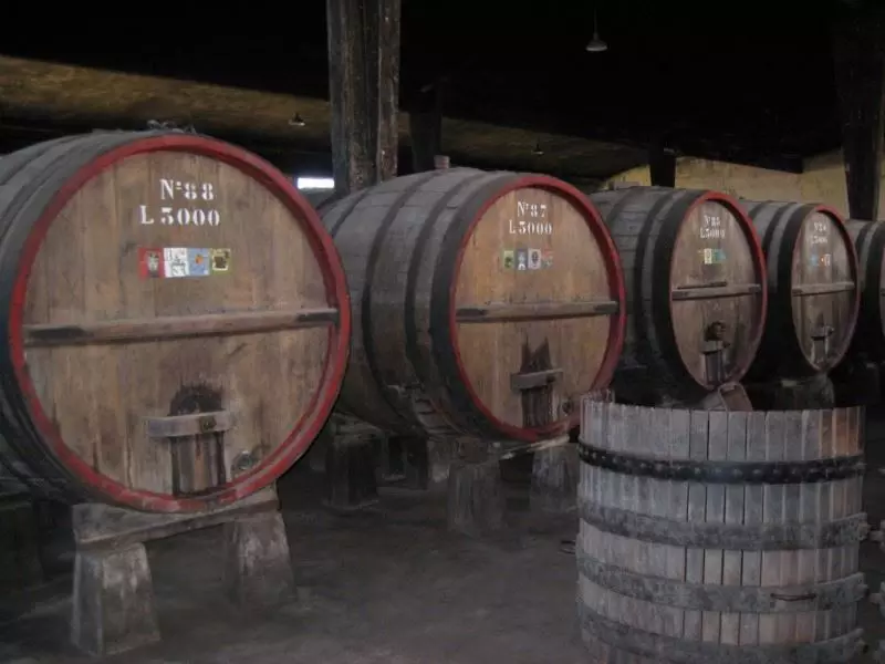 Vinícola Bernardi, Tradição E Compromisso Familiar De Qualidade Em Colonia, Uruguai