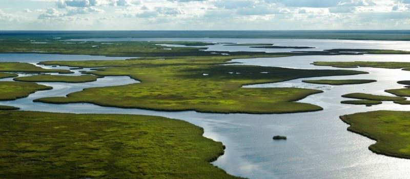Esteros Del Iberá: O Reino Da Água