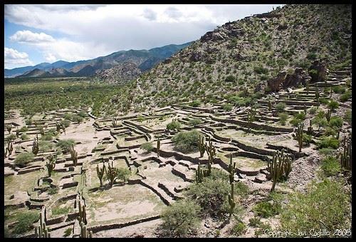 Huellas Indígenas: Una Vuelta Al Origen
