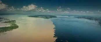 Coisas Para Fazer Em Manos