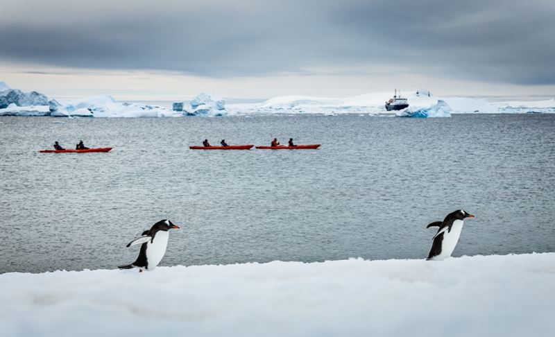 Antarctica – A Journey Of Discovery And Learning