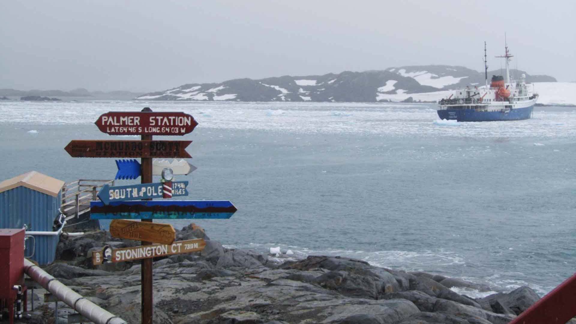 Classic Antarctica (3)