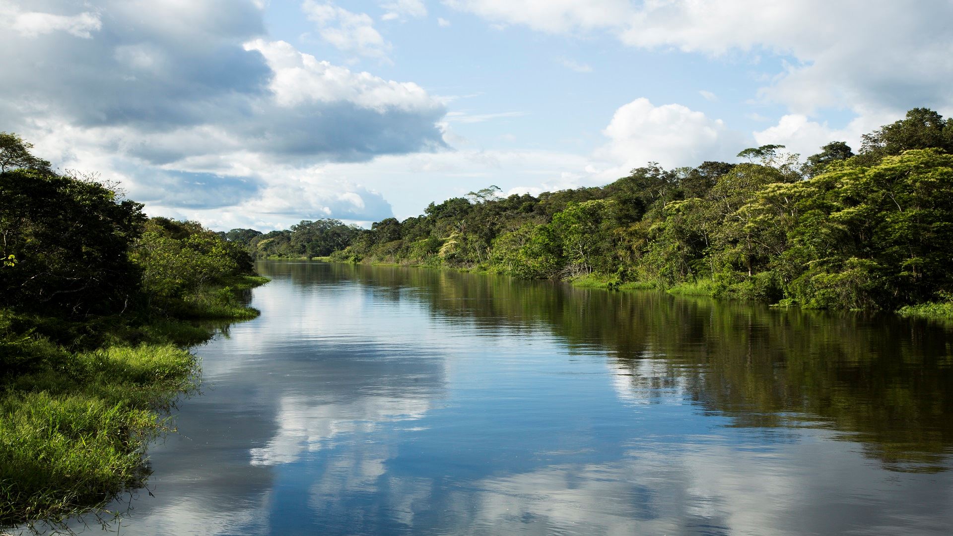 Croisière de luxe dans la forêt amazonienne (7)