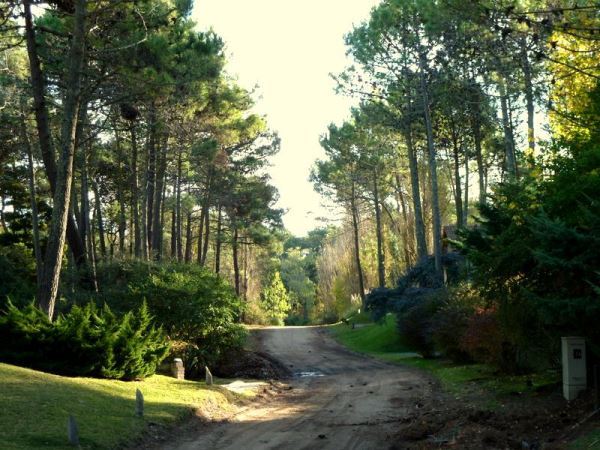 Voyage Et Tourisme À Carilo