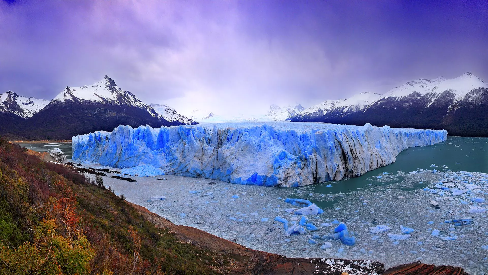 Argentine