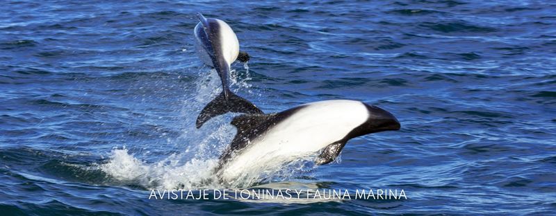 Voyage Et Tourisme À Camarones