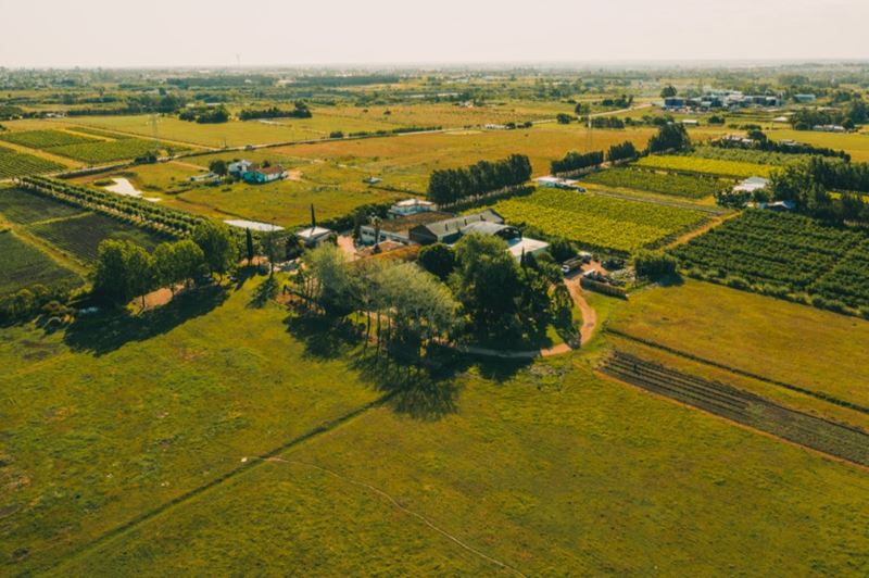 Viajes Y Turismo En Canelones