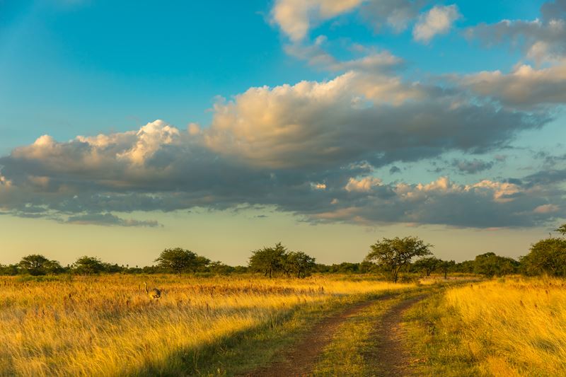 Viajes Y Turismo En Colonia Carlos Pellegrini