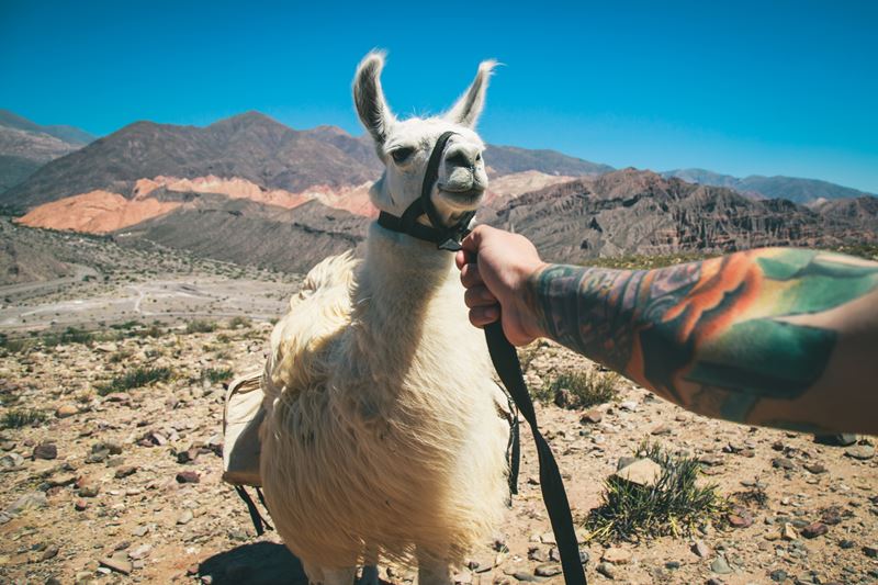 Reisen Und Tourismus In Die Quiaca