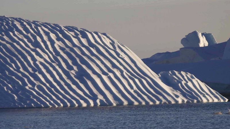 Reisen Und Tourismus In Antarktische Halbinsel