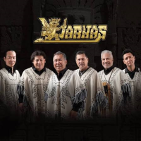 Los Kjarkas Vs Los Kjarkas