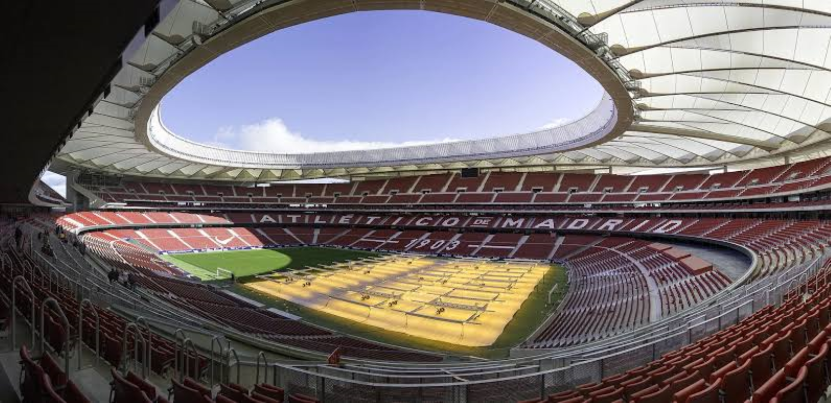Platea