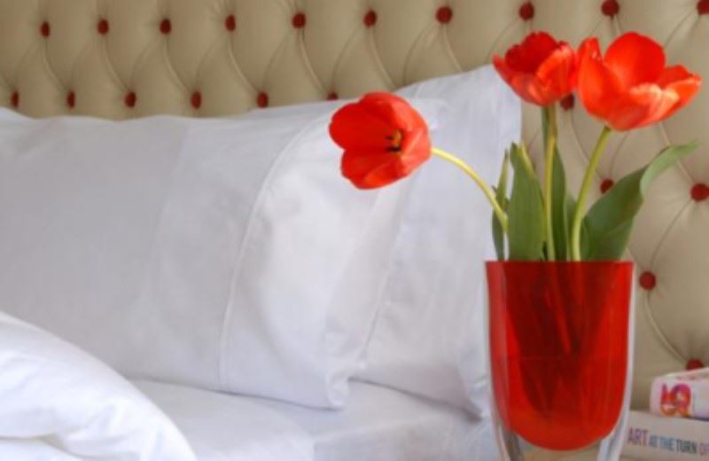 VITRUM HOTEL BOUTIQUE (2)