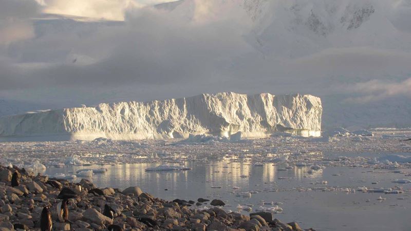 Passeios E Roteiros Em Antártida - Paquetes Turisticos