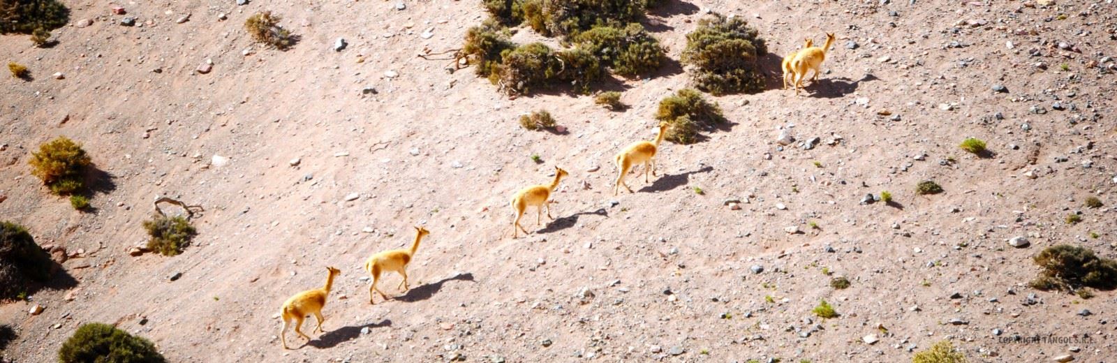 Tangol Buenos Aires Travel Agency: Trips & tours in Argentina