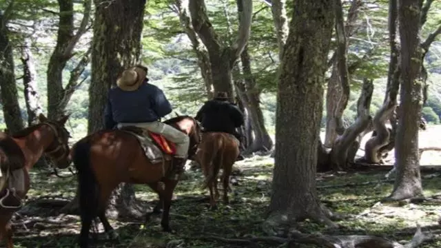 Passeio Pela Comunidade Mapuche